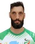 Morteza Mehrzadselakjani profile image