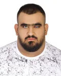 Amirhossein Alipour Darbeid profile image