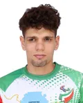 Mohammadmahdi Nafisinasab profile image