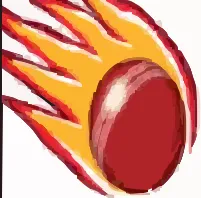 Queensland Fire