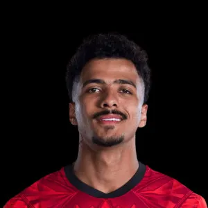 Hossam Abdelmaguid