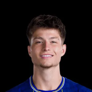 Esmir Bajraktarevic