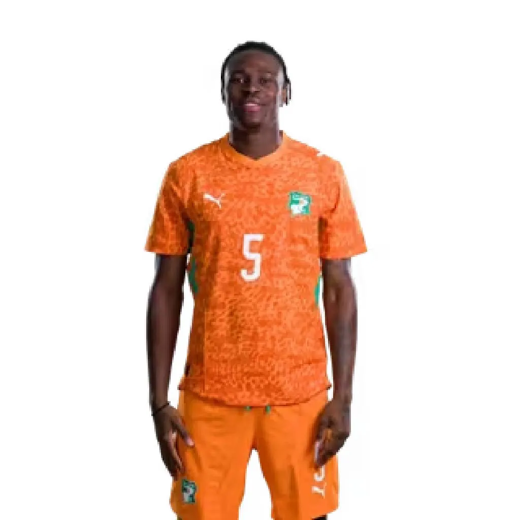 Wilfried Singo