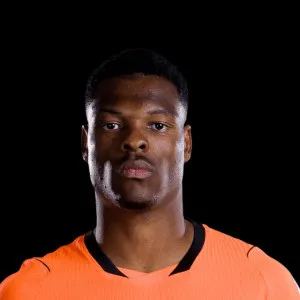 Denzel Dumfries