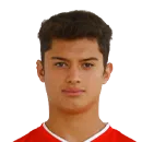 Wilhelmy Vicente
